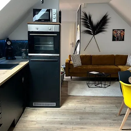 Komfort Am Badepark, Modern! Stylisch! Geraeumig! 바트하르추부르크